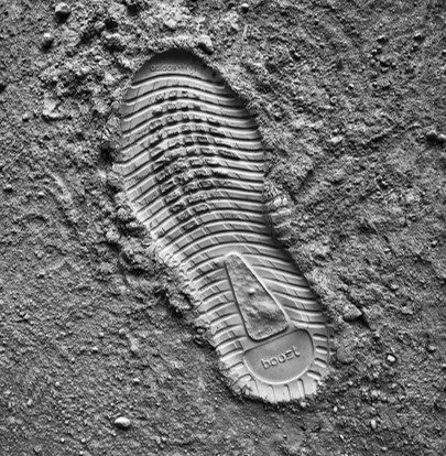 Picture11 WestWon Woodland